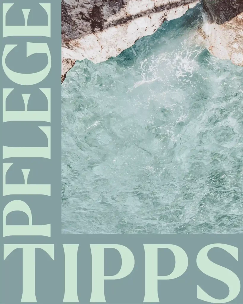 Aufnahme von oben in eine Bucht am Meer